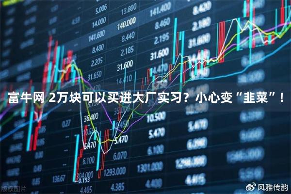 富牛网 2万块可以买进大厂实习？小心变“韭菜”！